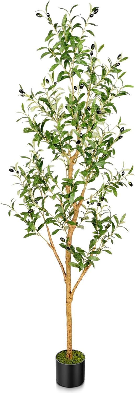 Tamiaia™ Artificial Olive Tree 6FT - Faux Olive Tree Artificial Indoor for Home Decor Living Ro... | Amazon (US)