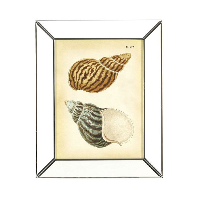 Shells in Mirror Frame Art | Ballard Designs, Inc.