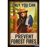 8""x12"" Metal Sign Smokey Bear Made in USA U.s. Forest Service Rustic Log Cabin Lodge Decor Vintage Design | Etsy (US)