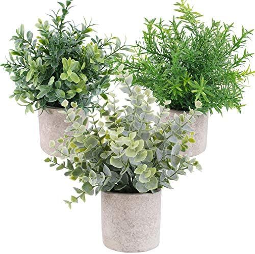 OUTLEE 3 Pack Mini Artificial Potted Plants Faux Eucalyptus Plants Boxwood Rosemary Greenery in Pots | Amazon (US)