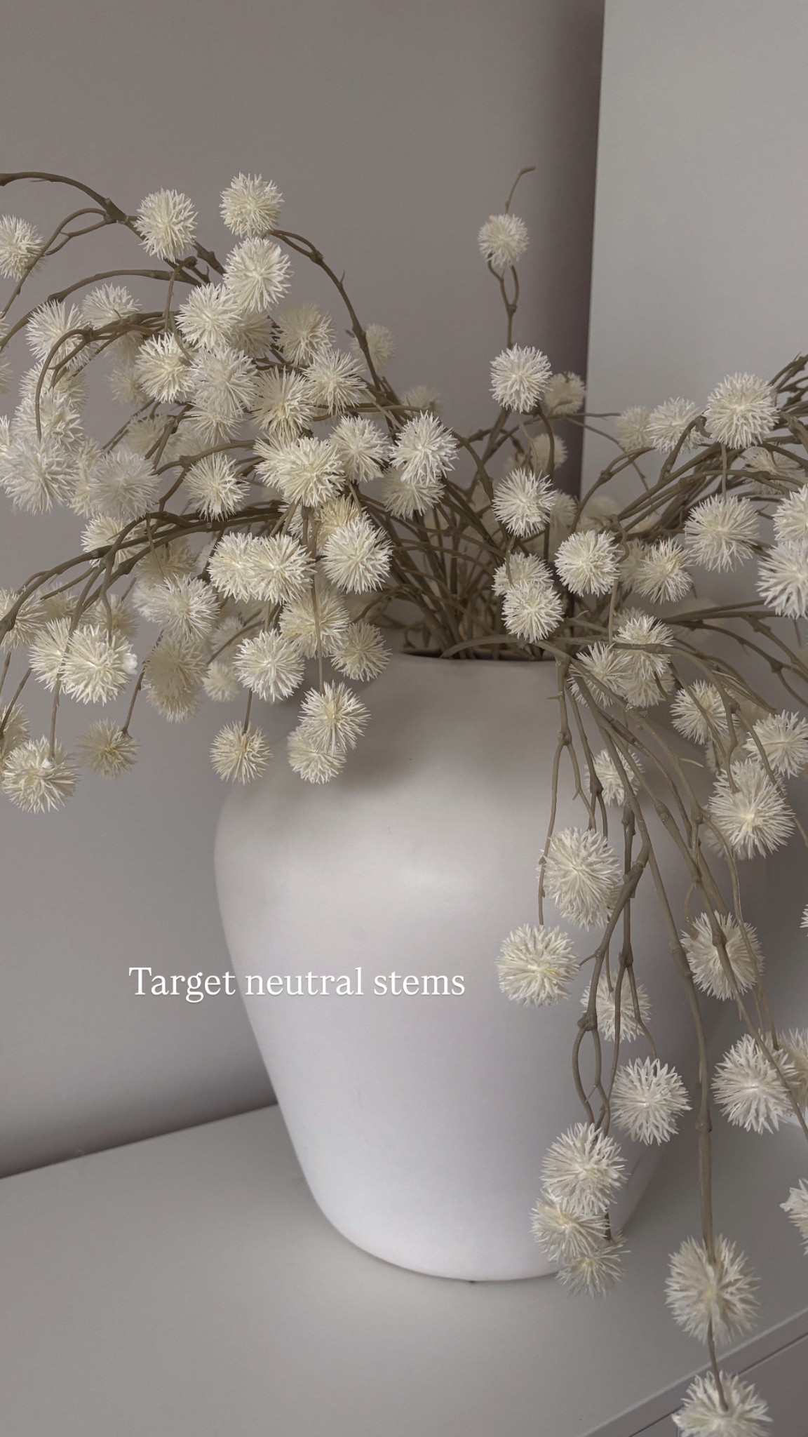 Neutral target stems 🤍 using 4 for this vase!

#LTKStyleTip #LTKFindsUnder50 #LTKHome