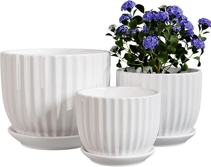 Ton Sin White Plant Pots Set of 3,Indoor Ceramic Flower Pot with Saucers,6.7"&5.5"&3.9" Inch Smal... | Amazon (US)