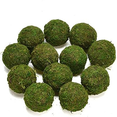 Byher Natural Green Moss Decorative Ball,Handmade (3.5"-Set of 6) | Amazon (US)