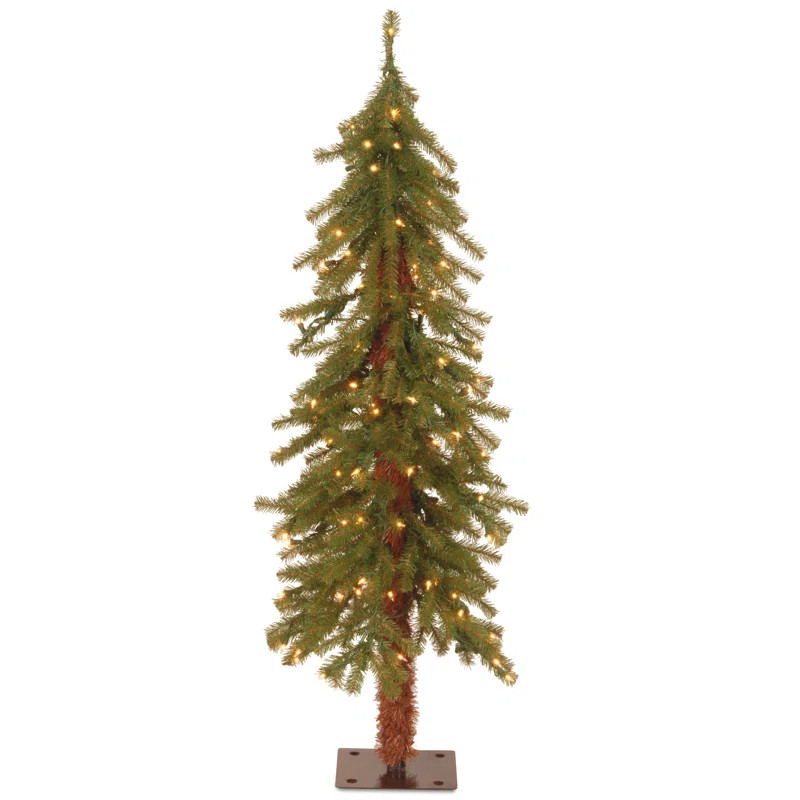 Hickory Cedar Tree | Wayfair North America