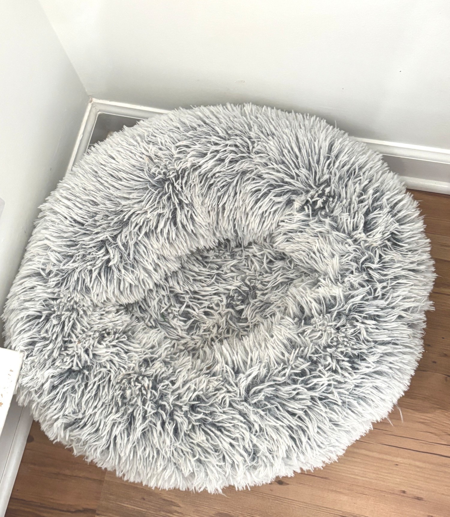 Cat beds

#LTKGiftGuide #LTKHome #LTKFindsUnder50