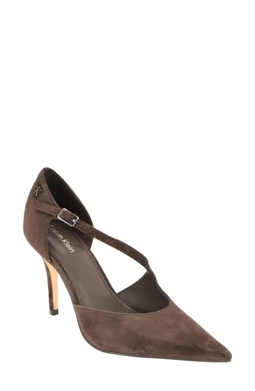 Calvin Klein Oaklan Pointy Toe Pump in Dark Brown Suede at Nordstrom, Size 5.5 | Nordstrom
