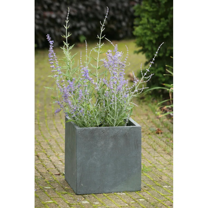 Modern Concrete Pot Planter | Wayfair North America