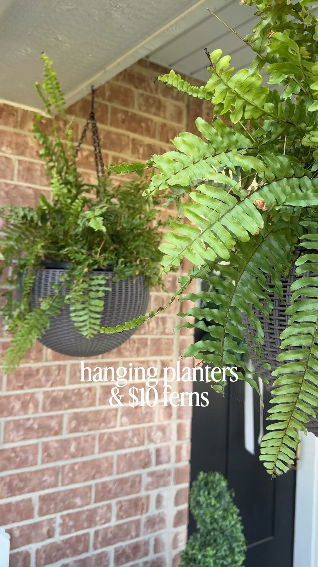 Love this combo. 2 live ferns for $20 & these hanging resin planters that won’t leak on your porch (unless you want them to then remove the plug) 🌿

#LTKHome #LTKSaleAlert #LTKSeasonal