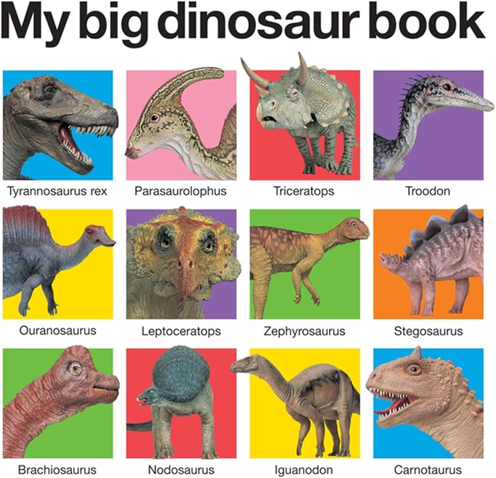 My Big Dinosaur Book (My Big Board Books) | Amazon (US)