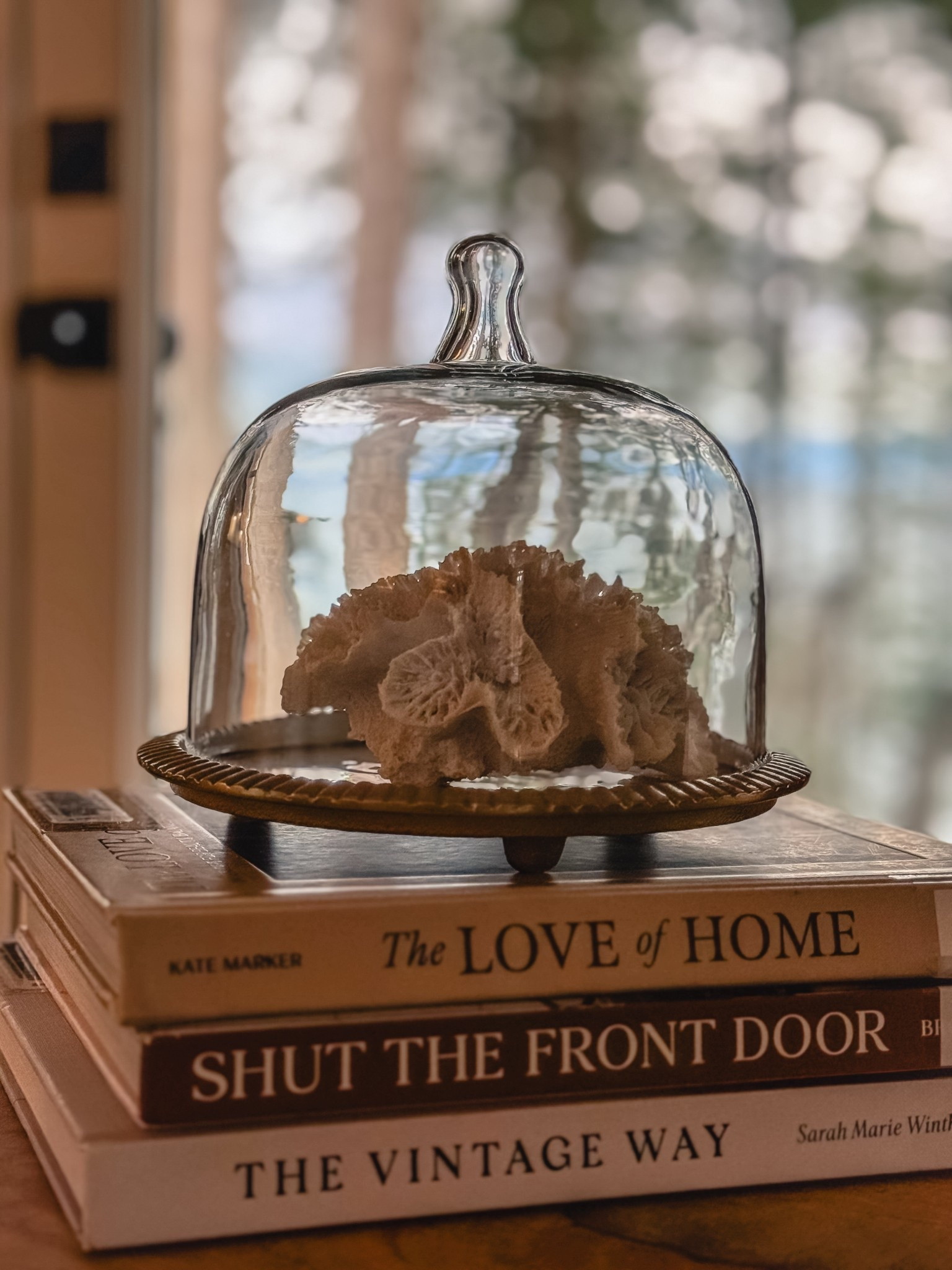 Decorating after Christmas - transitioning to a cozy coastal cottage  Coral 🪸 under a glass cloche elevates your decor. Paired with some books with neutral spines, works beautifully for the transition to winter decor  

#LTKhome #LTKwinter #LTKstyletip