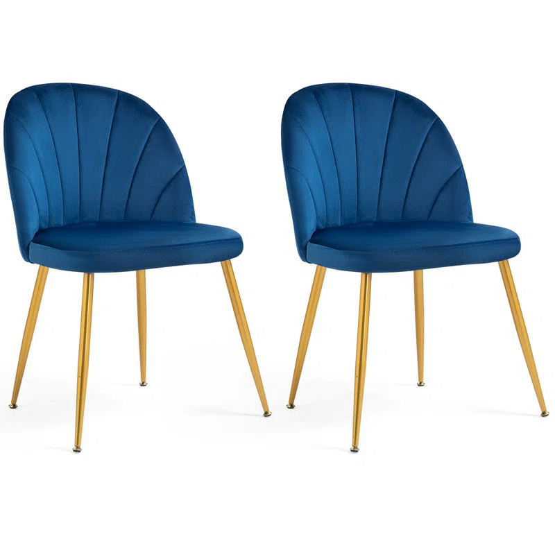 Modern Velvet Armless Side Dining Chairs (Set of 2) | Wayfair North America