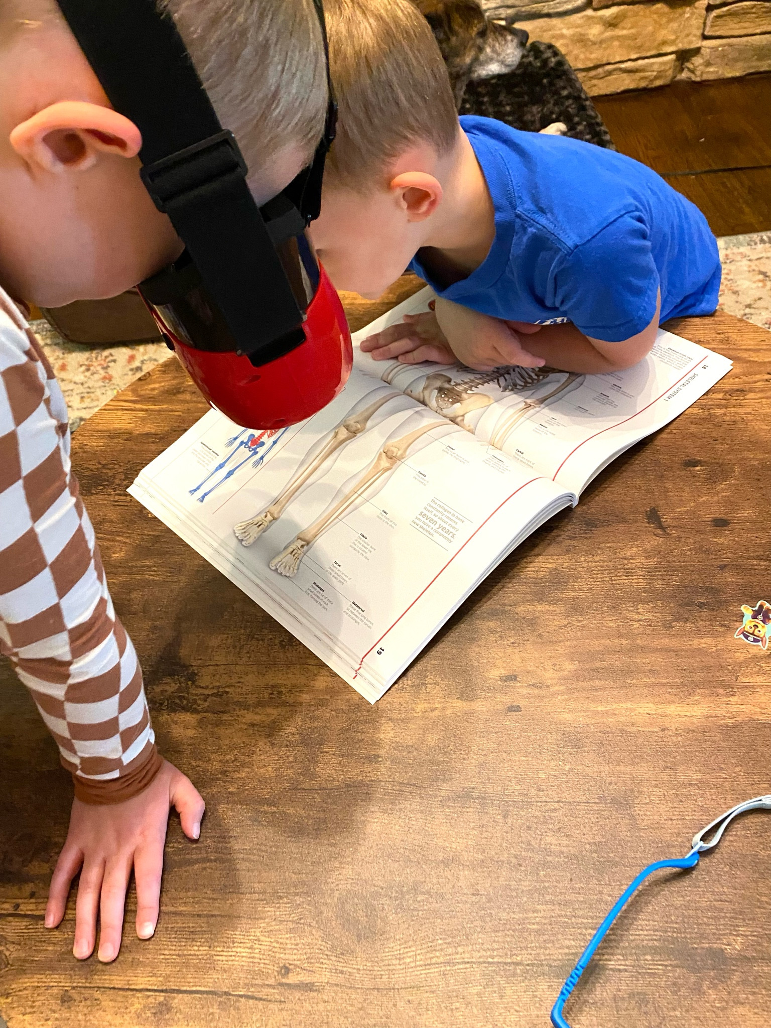 My boys are VERY intrigued by the human body. We have plenty of flap books about the human body, but when I saw this Virtual Reality Human Body set, I knew my boys would love it. It’s become a fun addition to our homeschool. 

#LTKVideo #LTKkids #LTKfindsunder100