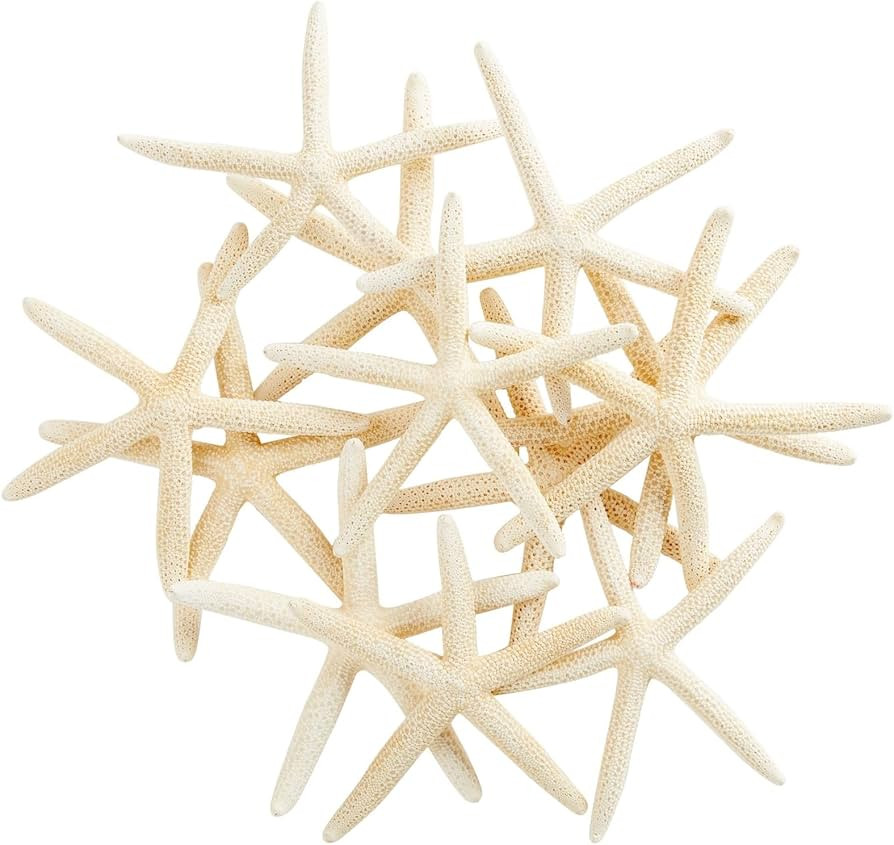 12 Pack White Starfish for Crafts and Decorating, Nautical Sea Ornaments for Birthday Party, Wedd... | Amazon (US)