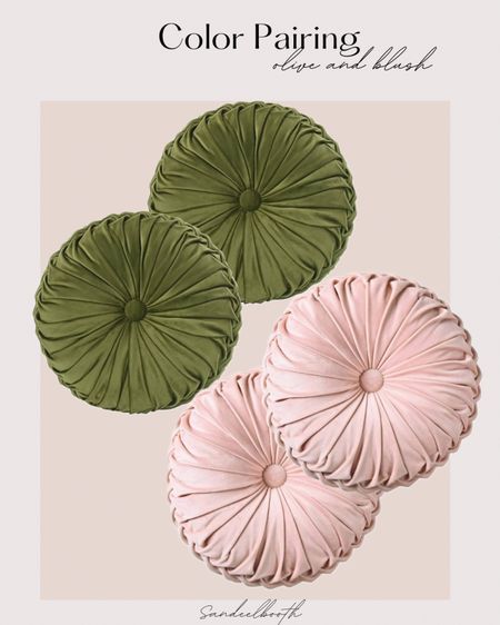 Elevated color pairing: Olive and Blush. 


Have these pillows as well- so soft and beautiful! Major vintage//anthropologie vibes on a budget. Home, home decor, spring, floor pillow, throw pillow

#LTKstyletip #LTKhome #LTKfamily