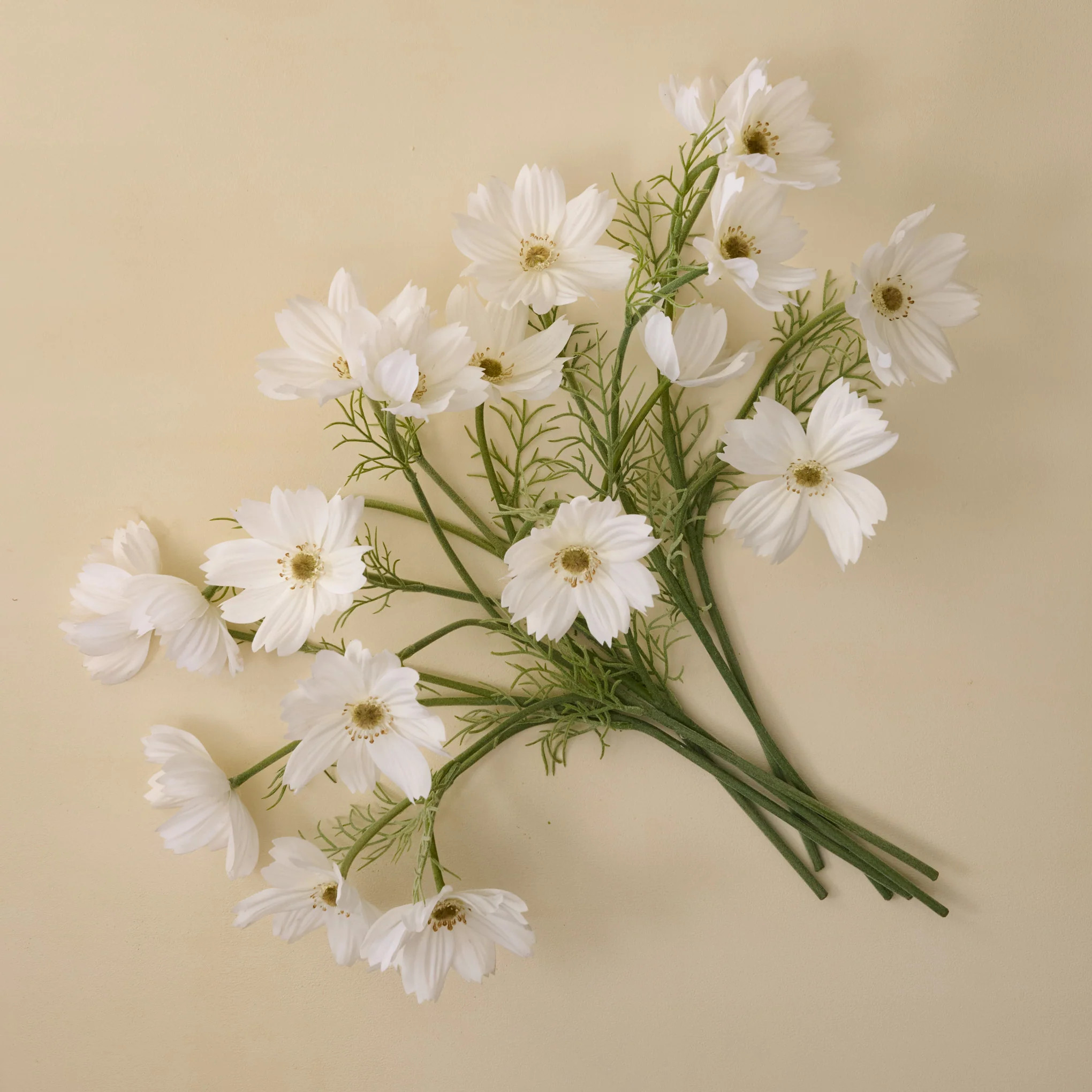 White Cosmos Bundle | Magnolia