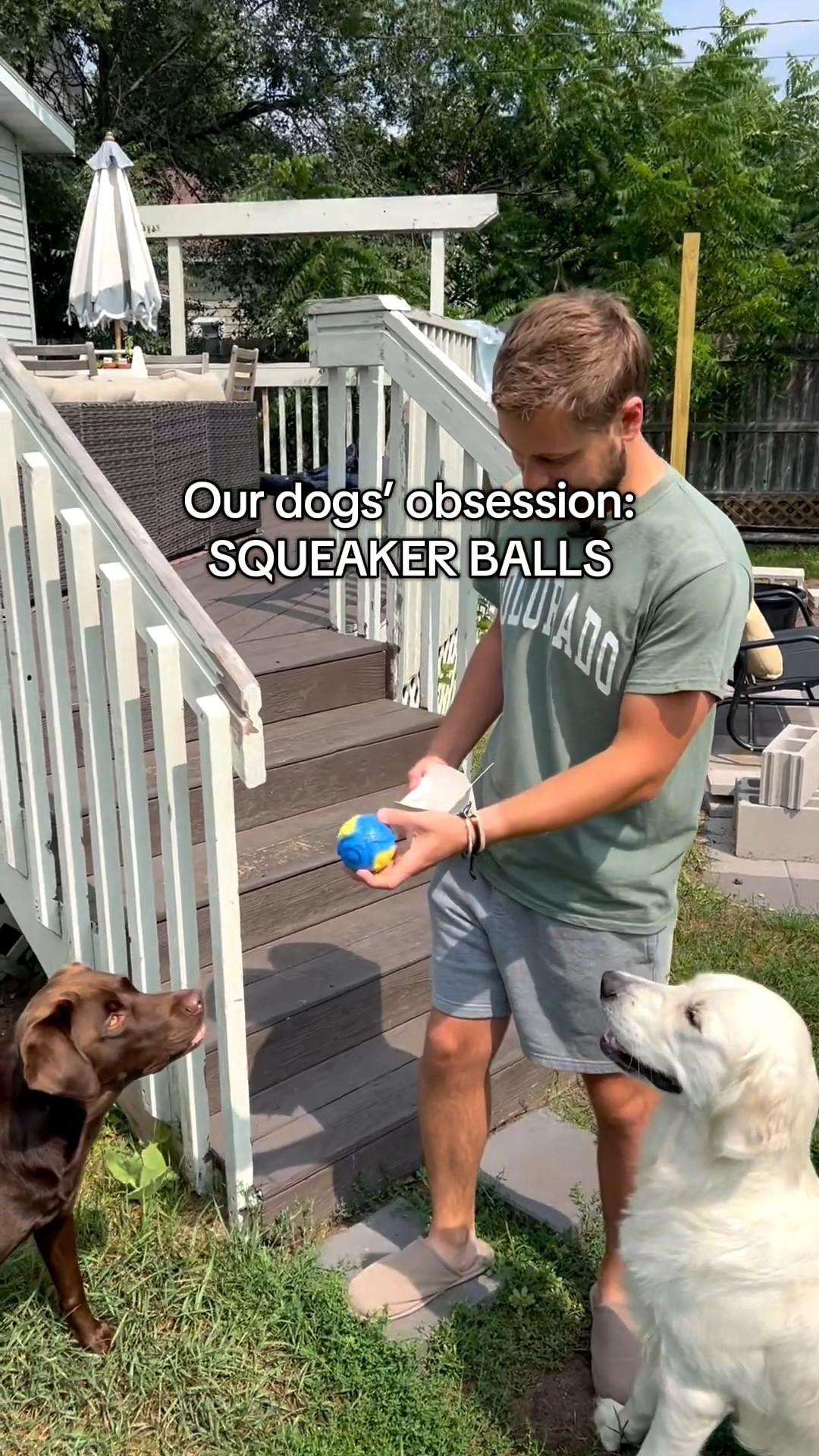 Our dogs love a loud squeaker ball that bounces!! 📢🎾 and this one is UNDER $10!

#dogball #dogtoys

#LTKActive #LTKPets #LTKSeasonal