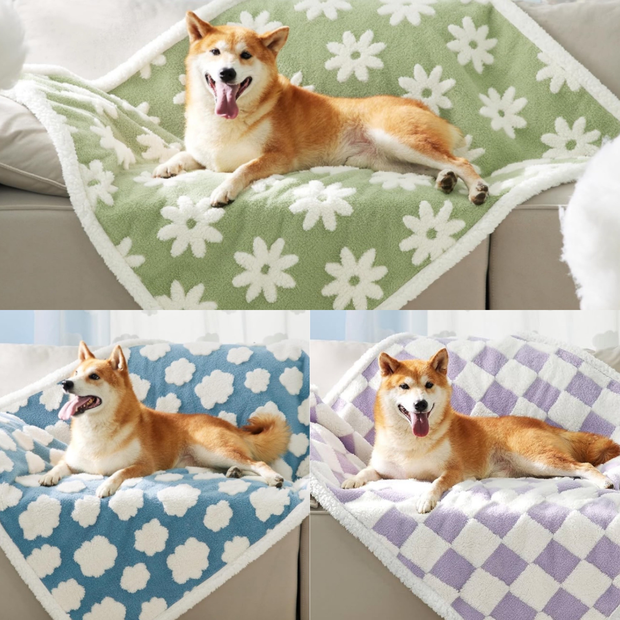 The cuuuutest dog blankets in lots of sizes! 🥰😍

#LTKhome #LTKfamily #LTKMostLoved
