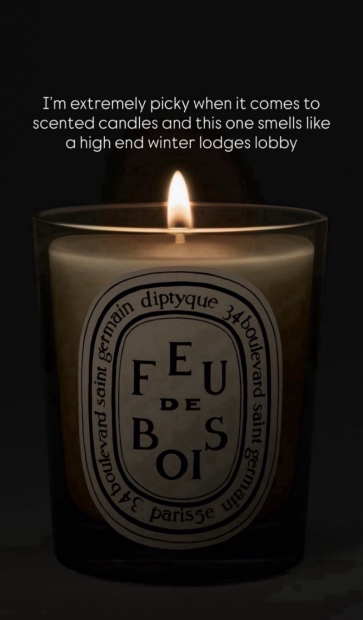 I'm extremely picky when it comes to scented candles and this one smells like a high end winter lodges lobby✨
StylinByAylin, Aylin

#LTKValentine #LTKSeasonal #LTKHome