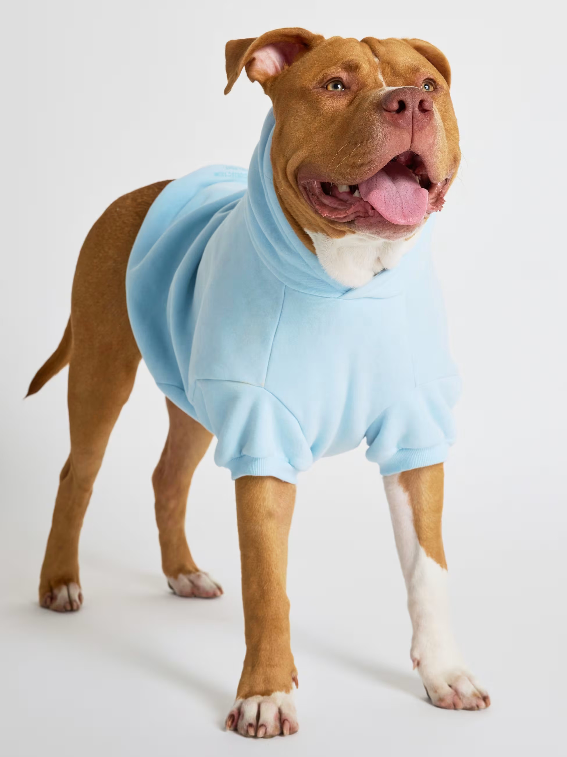 Pastel Paw Hoodie — Comfrt | Comfrt