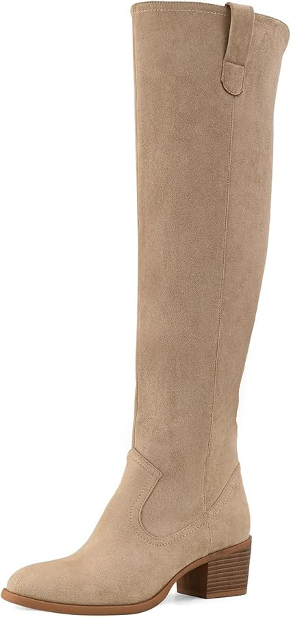 Shoe'N Tale Women's Over The Knee Thigh High Chunky Heel Pointed Toe Faux Suede Side Zipper Fall ... | Amazon (US)