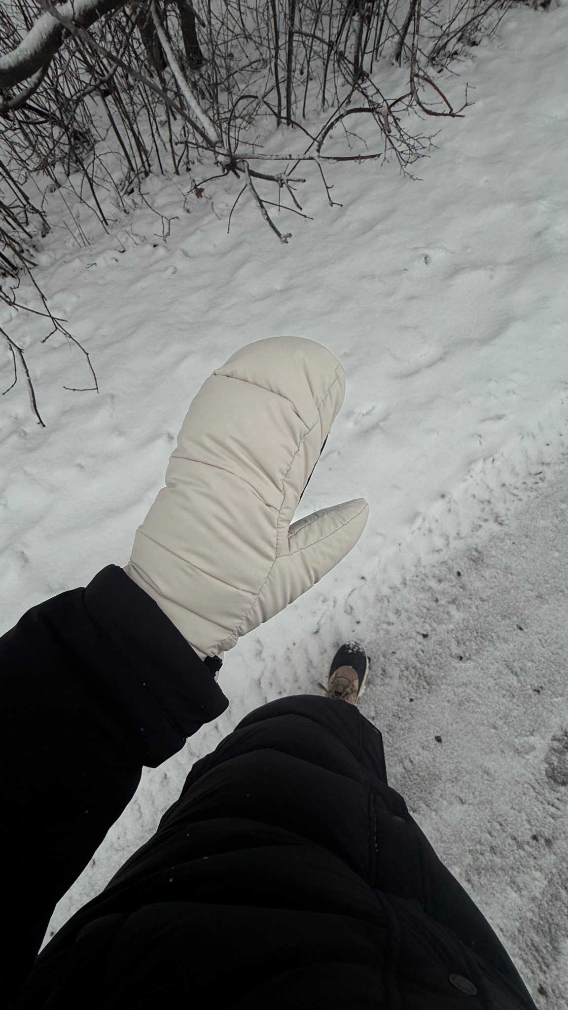 The best winter mitts!! 

#LTKwinter #LTKcanada #LTKstyletip