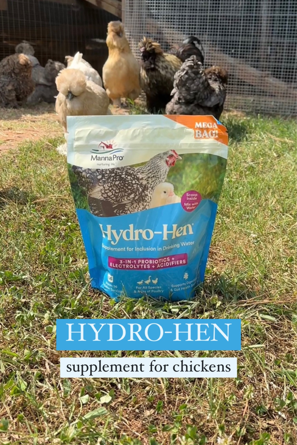 My favorite supplement to give my flock during the hot summer months! 💦 

#LTKSeasonal