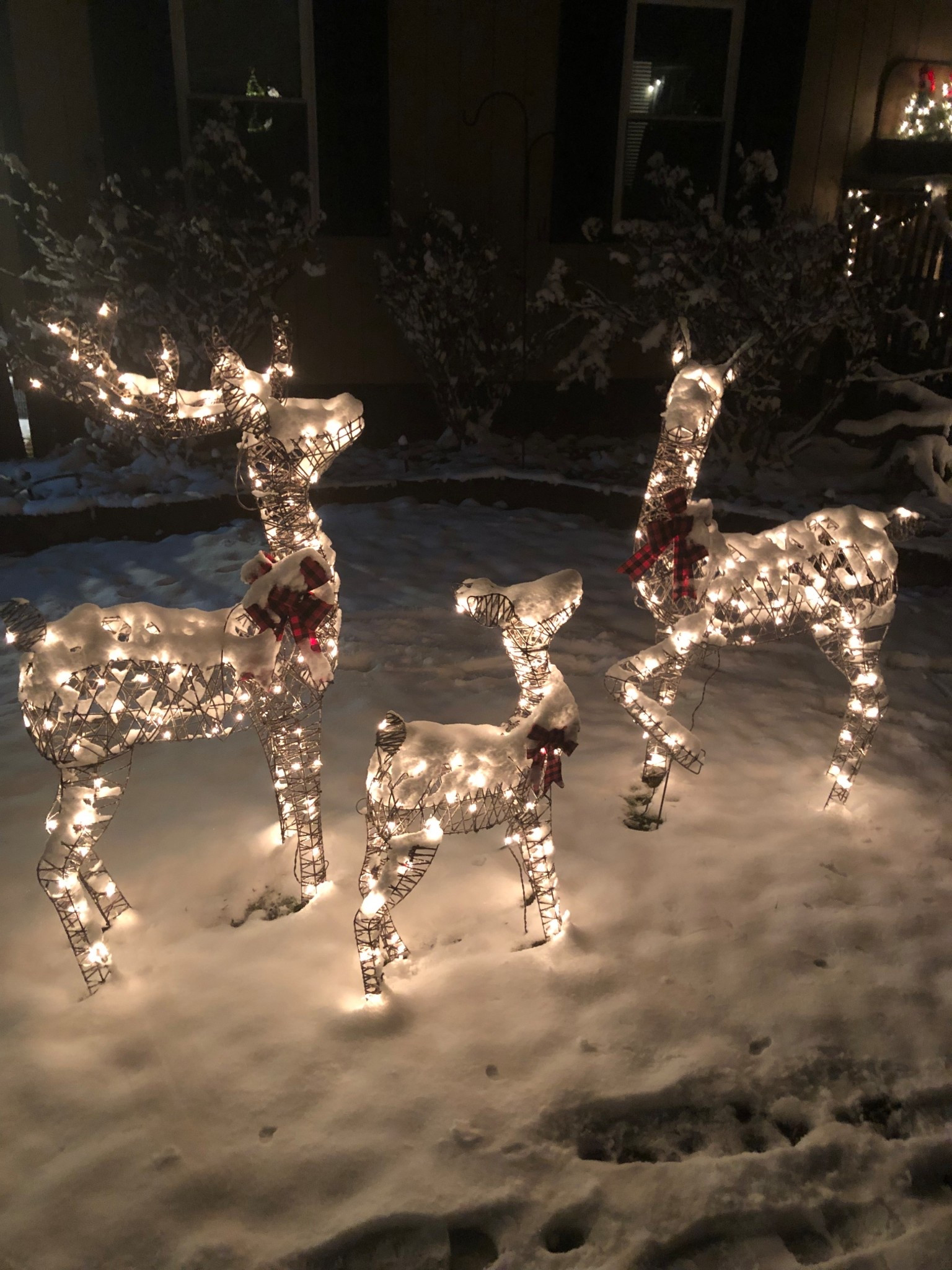 Christmas dear set ❤️

Christmas decor
Christ decorations 

#LTKHoliday #LTKSeasonal #LTKHome