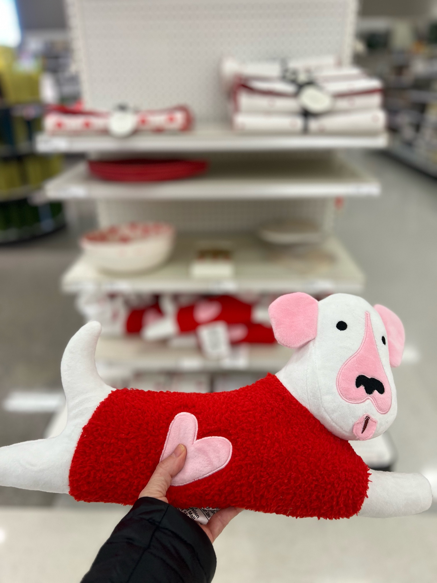 Love these valentines decor and valentine kitchen finds

Spring decor | dog pillow | heart bowl | wood heart | target | valentine decor

#LTKSeasonal #LTKhome #LTKstyletip
