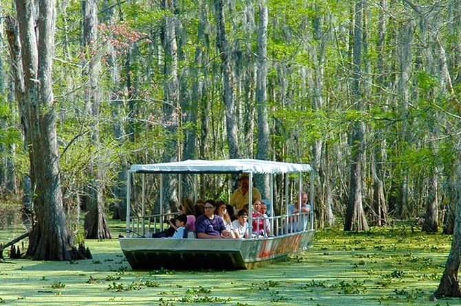 New Orleans Swamp and Bayou Boat Tour with Transportation | Viator