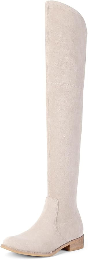 Shoe'N Tale Women's Over The Knee Boots Thigh High Low Block Heel Pointed Toe Long Stretch Boots | Amazon (US)