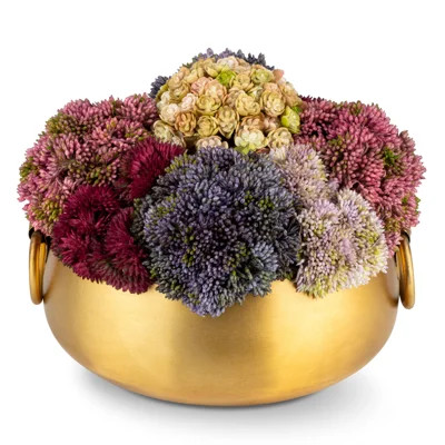 Beatrix Gold Sedum Arrangement | Perigold