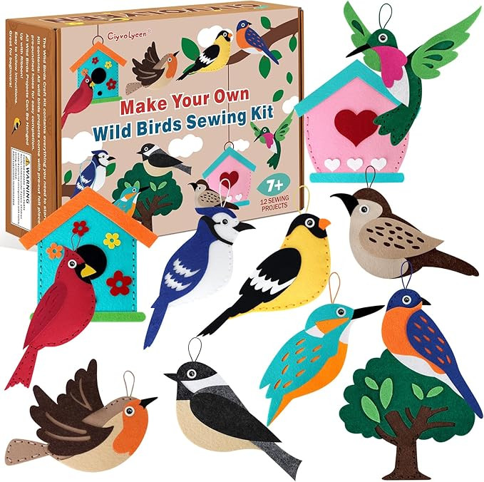 CiyvoLyeen Wild Birds Sewing Craft Kit Animal Sewing Kit for Boys and Girls Beginners Set of 12 S... | Amazon (US)