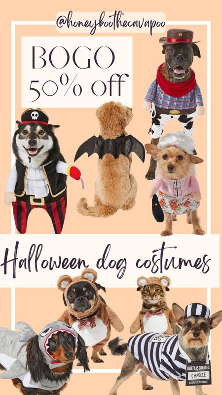 halloween costume costume dog ltkdog  dog costume bogo chewy pet teddy bear bat wings grandma 
pirate with a hook cowboy jail prisoner shark 

#LTKSeasonal #LTKHalloween #LTKsalealert