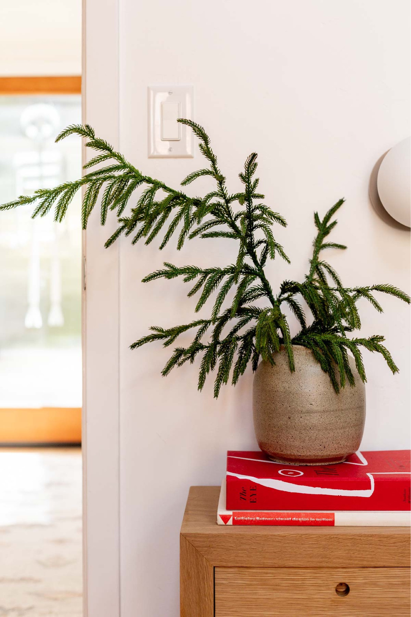 I have a few of these Norfolk pine branches around my house in vases for the holidays and they look SO good. They have a great soft feel and look very real as well. I’m usually not a fan of faux, but these are awesome! Christmas decorating - holiday home decor - tree trimming

#LTKHoliday #LTKhome
