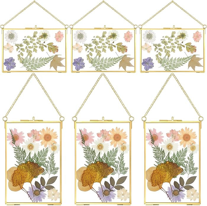 Treela 6 Pcs Pressed Flower Glass Picture Frames 6 x 4 Inch Brass Hanging Double Glass Frame Gold... | Amazon (US)