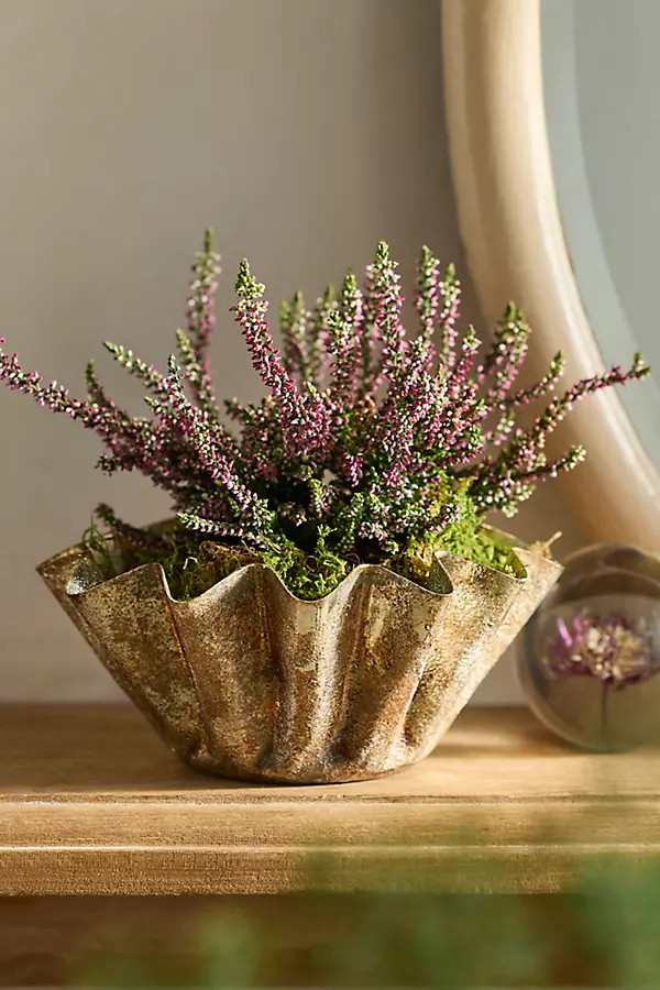 Golden Handkerchief Planter, Large | Anthropologie (US)