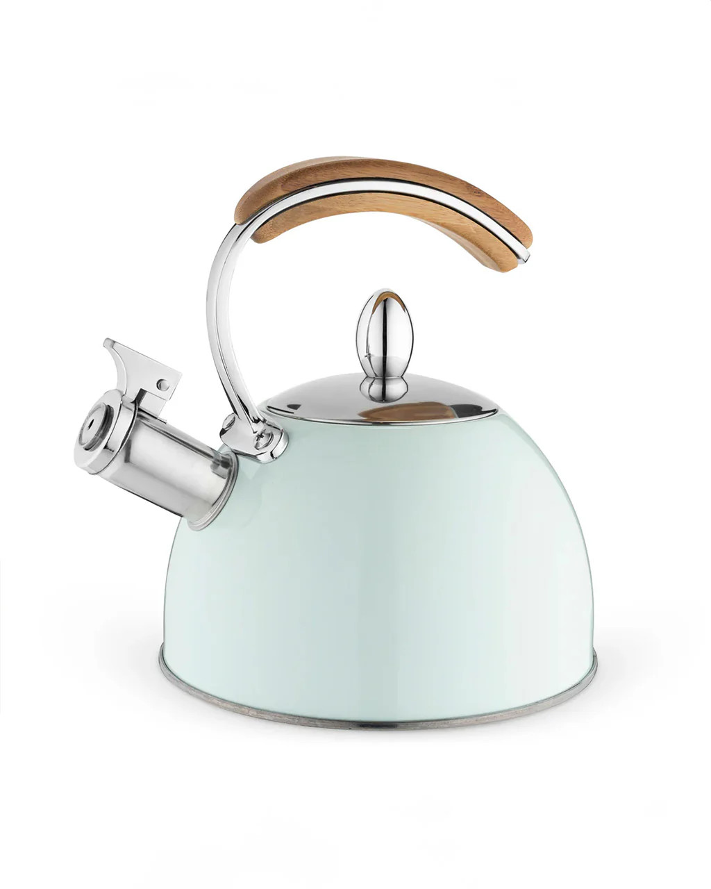 Presley Pistachio Classic Whistling Tea Kettle | ban.do