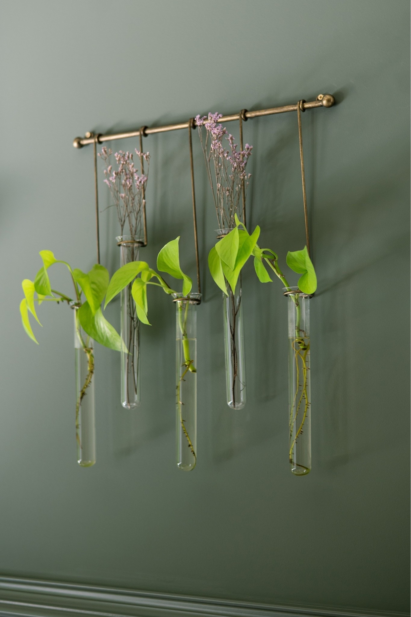 Greenery at its finest 🍃 sweet and simple touch to a clients wall

#LTKHome #LTKdayinmylife #LTKSeasonal