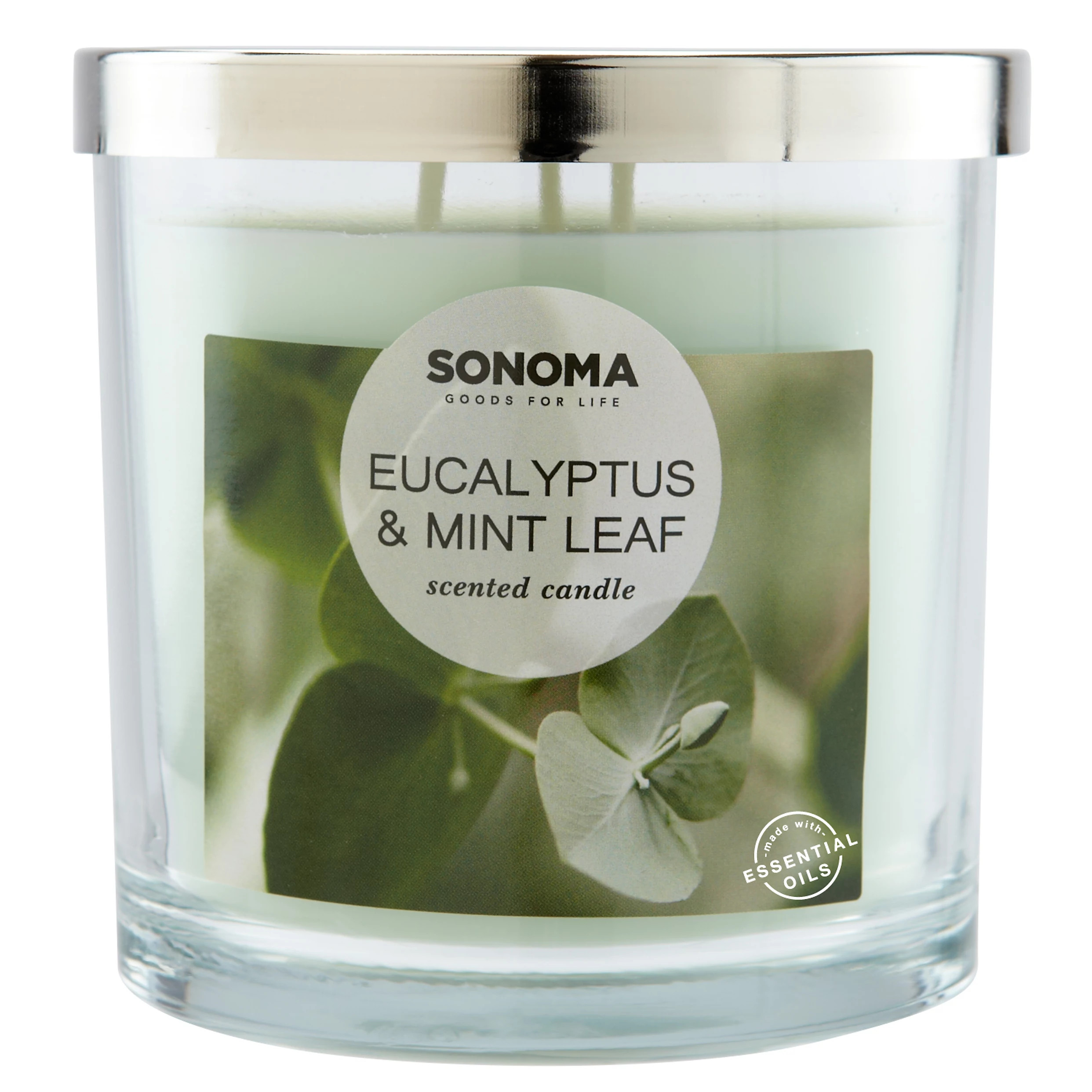 SONOMA Goods for Life® Eucalyptus & Mint Leaf 14-oz. Candle Jar | Kohl's