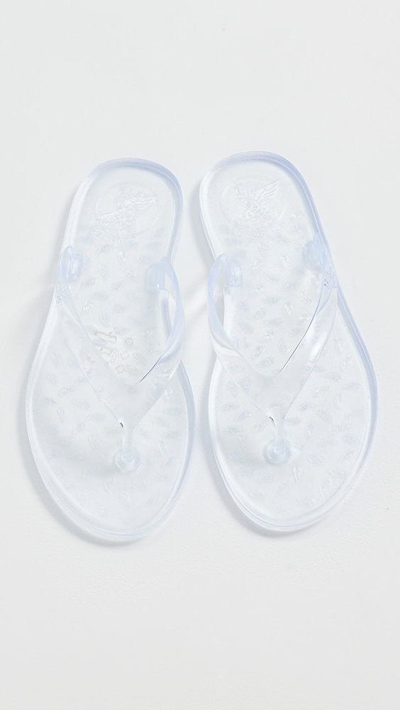 Jelly Flip Flops | Shopbop