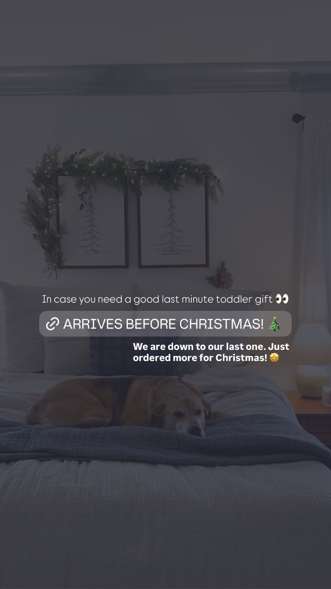 In case you need a good last minute toddler gift 👀  We are down to our last one. Just ordered more for Christmas! 🤩

gift guide, holiday, holiday finds, last minute christmas gifts

#LTKGiftGuide #LTKdayinmylife #LTKHoliday