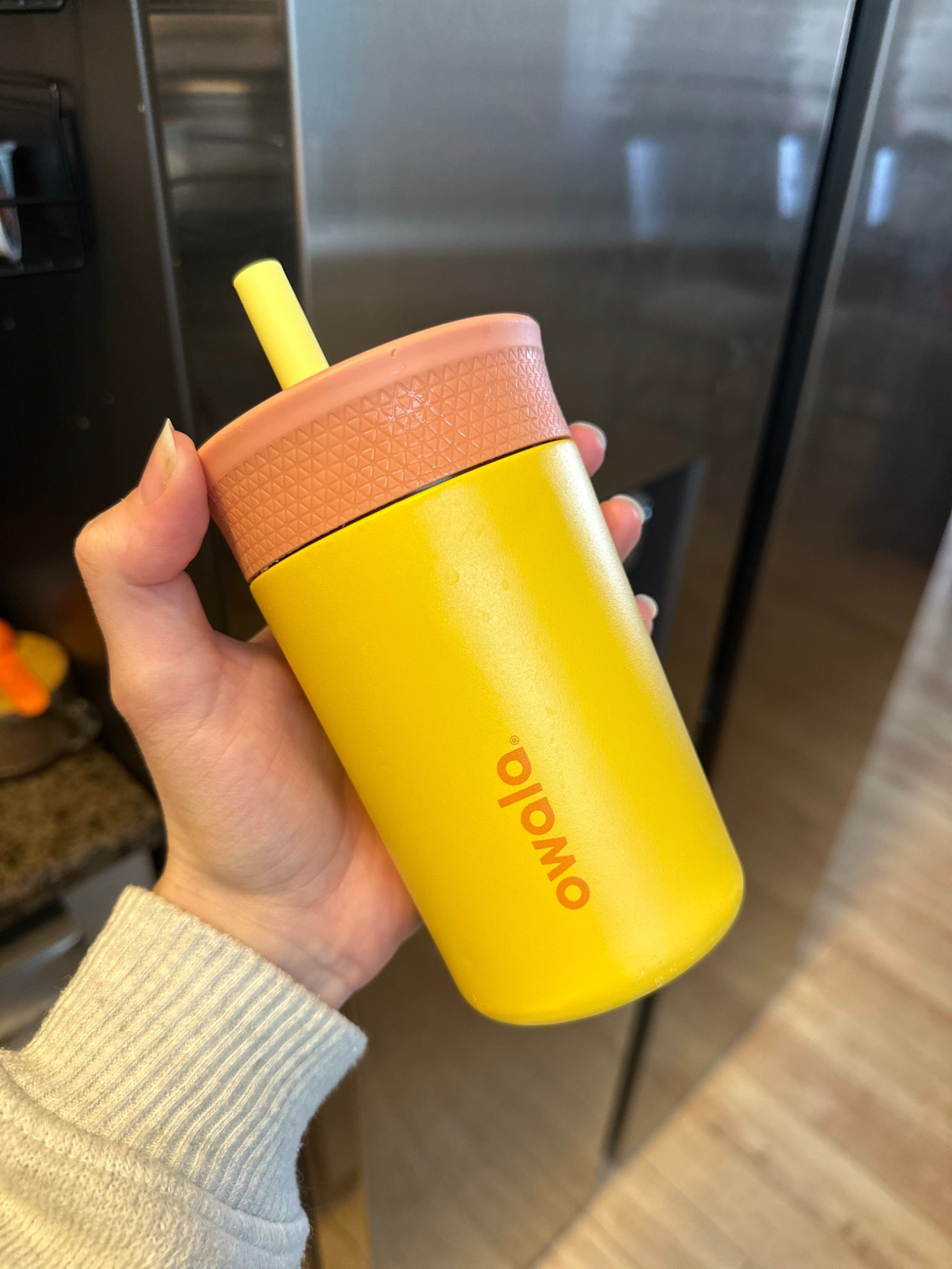 Thermos cup for kiddos! Spill proof and totally worth the money 👍🏼 perfect for keeping any beverage hot or cold without making a mess

#LTKBaby #LTKKids #LTKmomlife