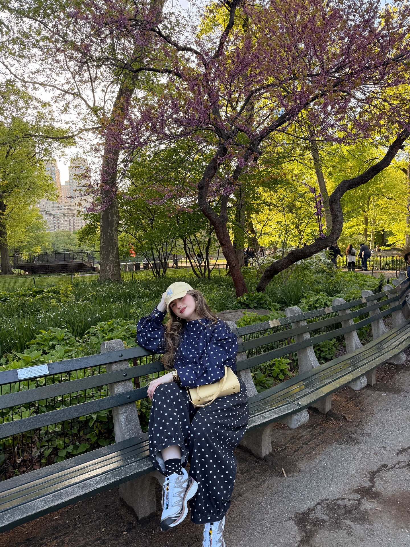 🗽🌳🍕