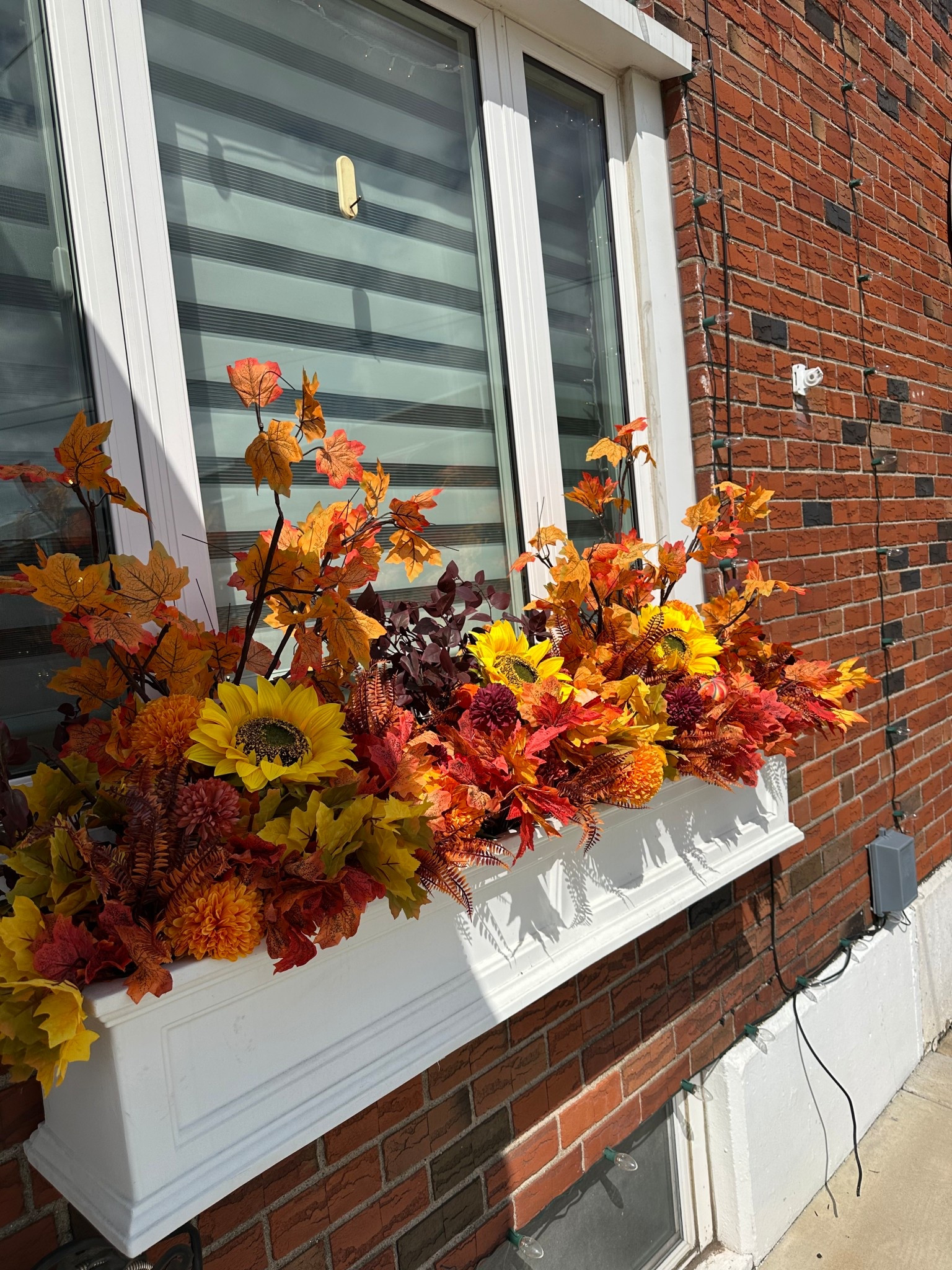 fall decor 🫶

#LTKFallSale #LTKHome #LTKSeasonal