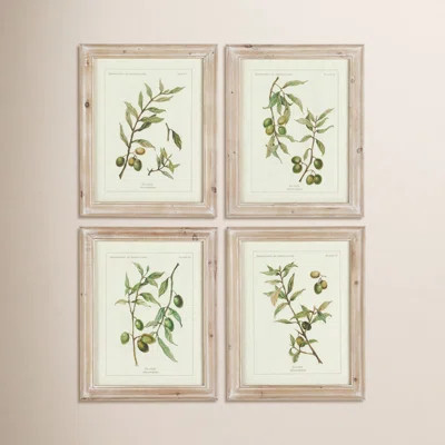 Evy Olive Leaf Botanical' - 4 Piece Picture Frame Graphic Art Print Set on Paper | Wayfair North America