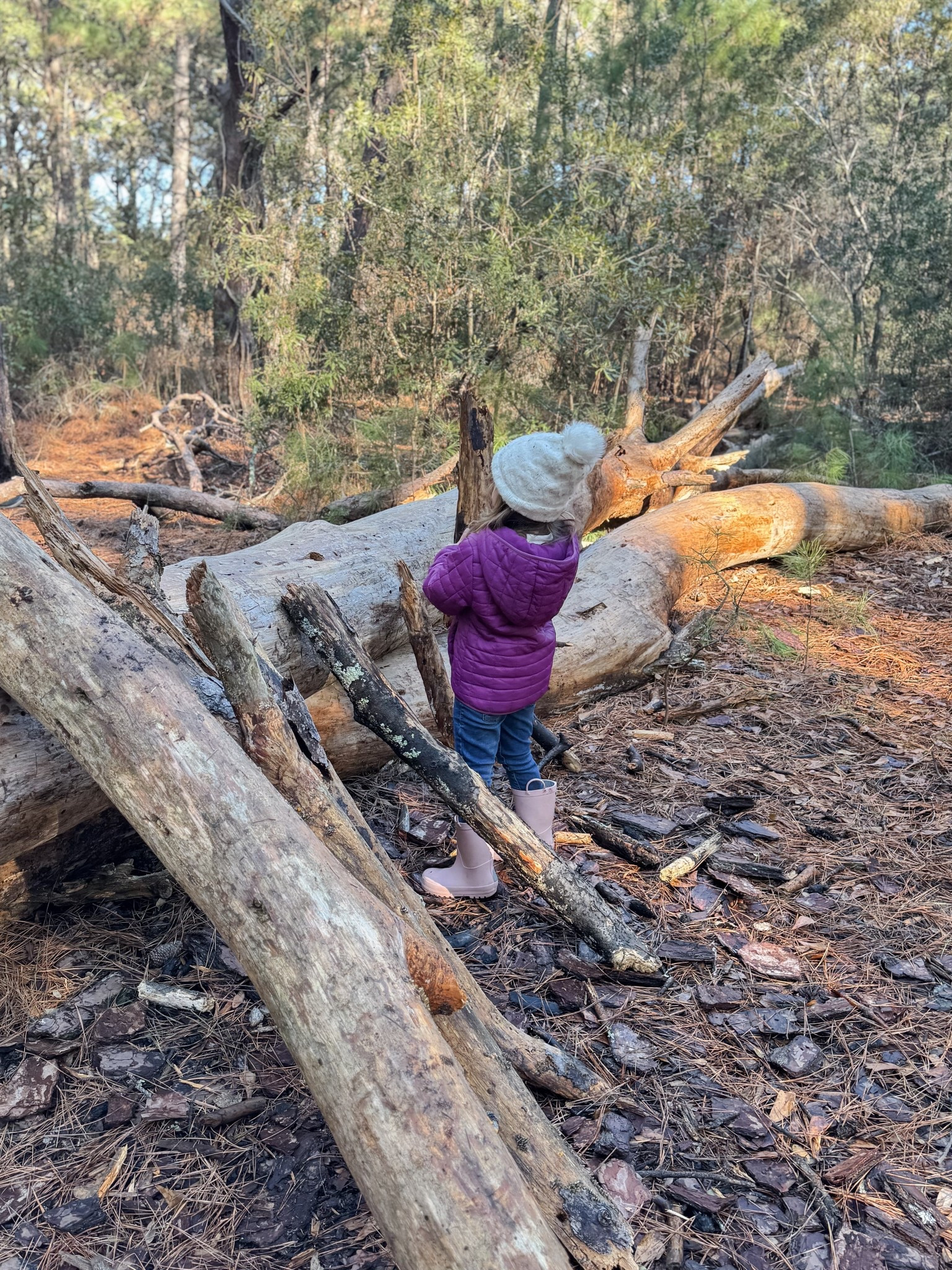 Kids’ puffy winter coat and adventure boots for outdoor exploring

Comfy and easy for kids to move and explore

#LTKmomlife #LTKKids #LTKootd