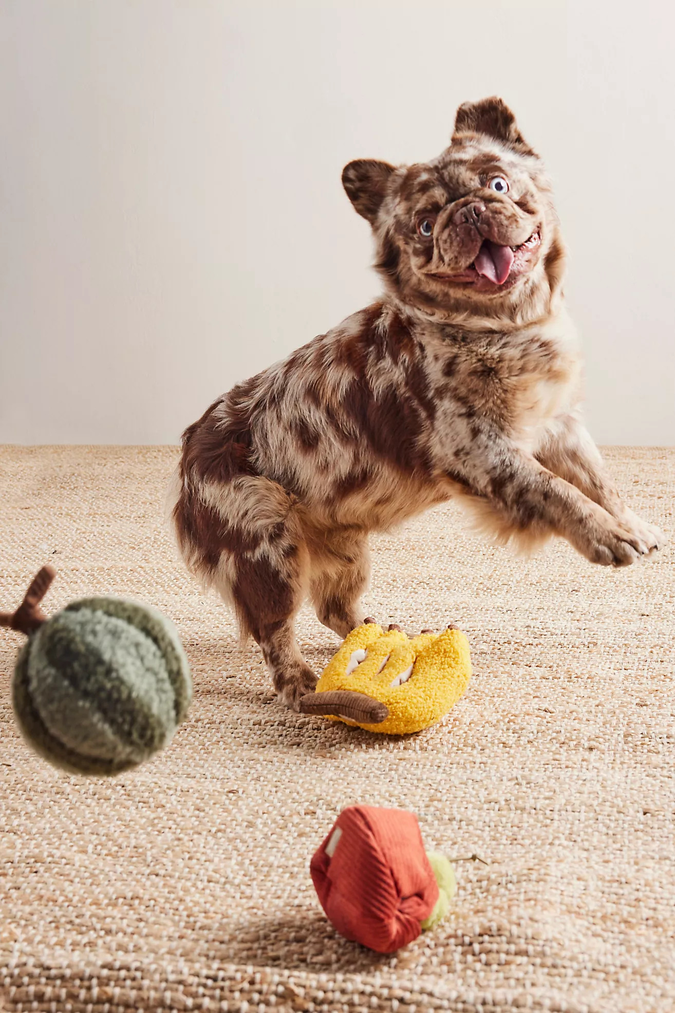 Fruit Set Of Toys | Free People (Global - UK&FR Excluded)