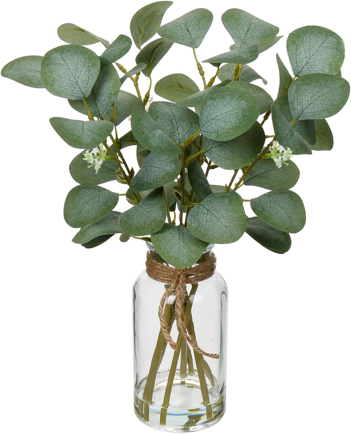 Briful Artificial Eucalyptus Stems in Glass Vase with Faux Water, 14" Fake Plant Eucalyptus Leave... | Amazon (US)