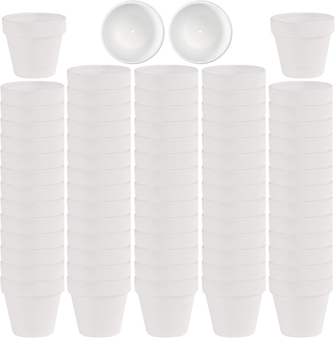 72 PCS Small Mini White Clay Pots with Drainage Holes, 2.5inch Terra Cotta Pot Clay Ceramic Potte... | Amazon (US)