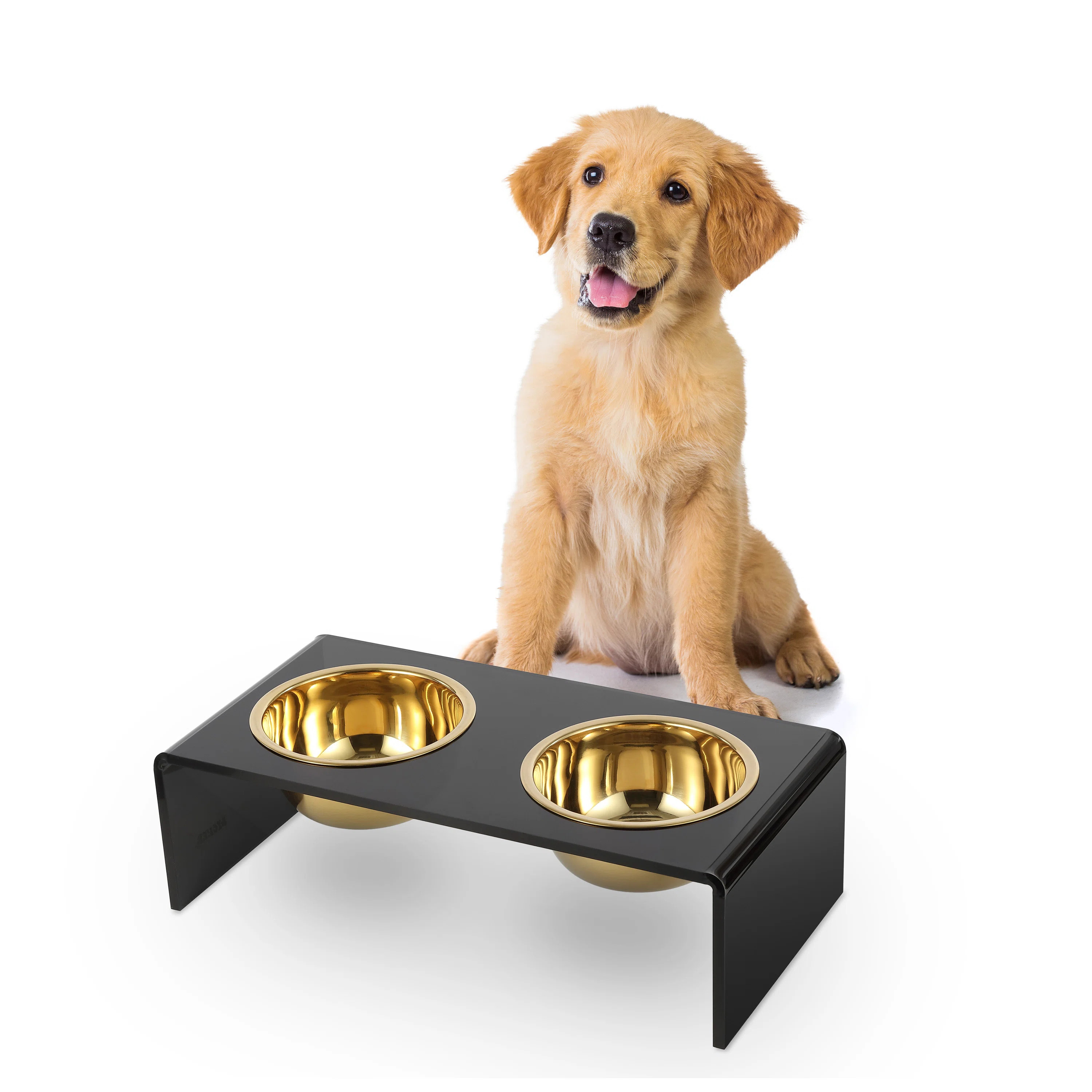 Keaton Modern Lucite Rectangular Elevated Pet Feeder with 2-Stainless Steel Bowls | Wayfair North America
